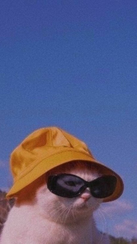 nuriadelavega onlyfans model photo