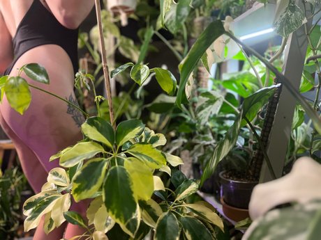 plantfeetpics onlyfans post