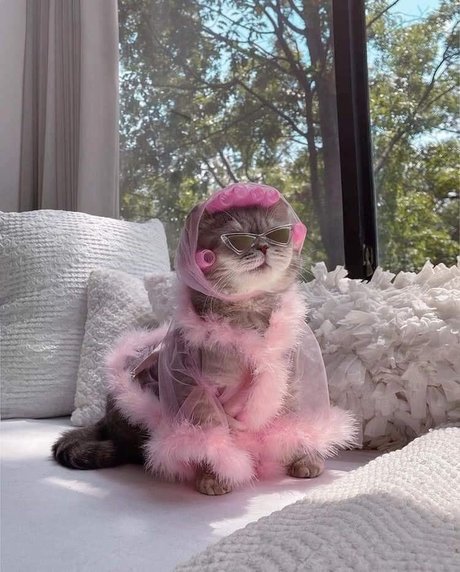 Fierynymph leaked onlyfans nudes