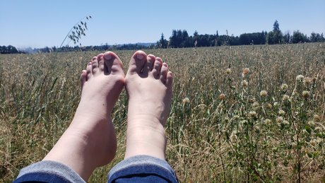 Feet Goddess onlyfans content type