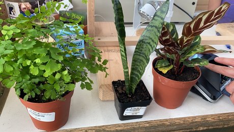 Caddy Rogers porn onlyfans leaks