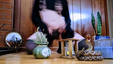 Fae Amore leaked onlyfans nudes