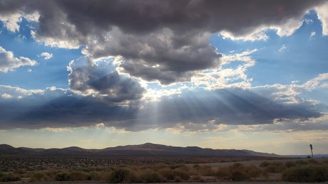 Papi Paul only fans nude