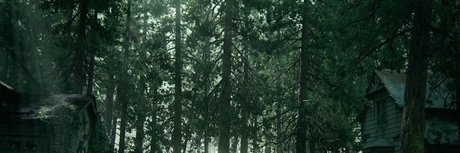 F bio Nokis onlyfans pics nude