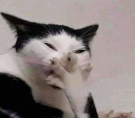 J U N I O R D_ onlyfans leak free