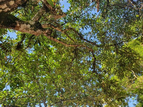 Gabriela Lima onlyfans striptease