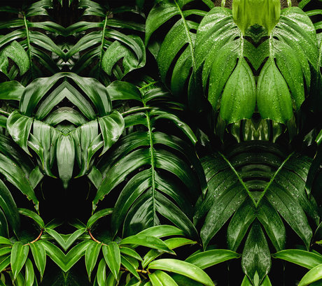 Paula Molina boobs onlyfans