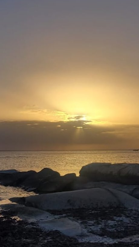 Jackieyz joi onlyfans