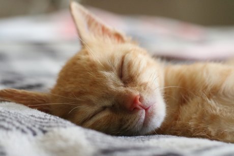 Wilhelm AF onlyfans lean