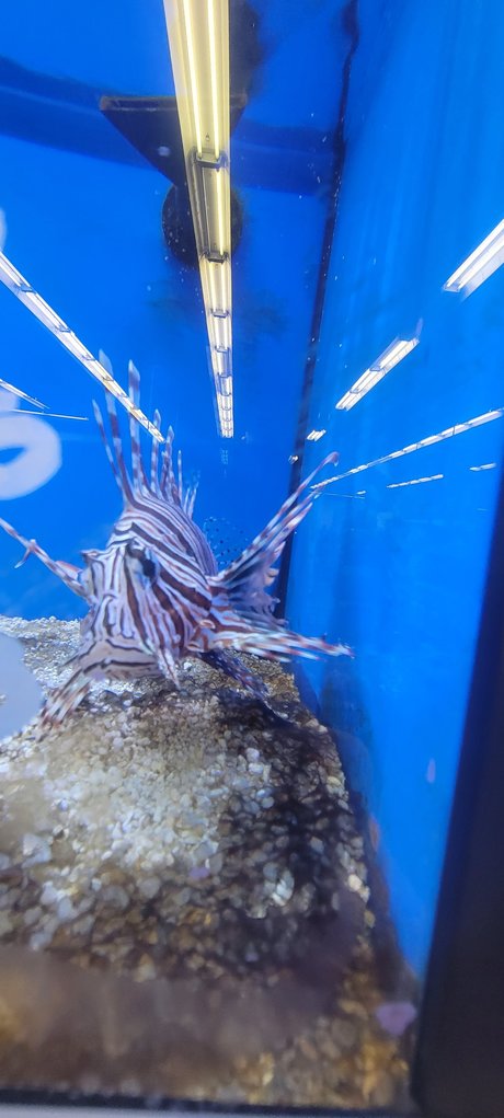 Contractor nude only fans