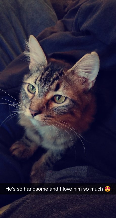 Shakhiaya Cole onlyfans archive