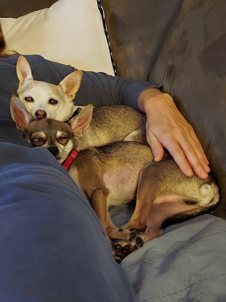 Pica amp amp Kelly xxx onlyfans