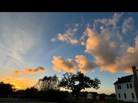 _Queen Ari_ leaked onlyfans nudes