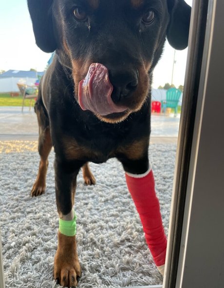 mfccammodel onlyfans nudes