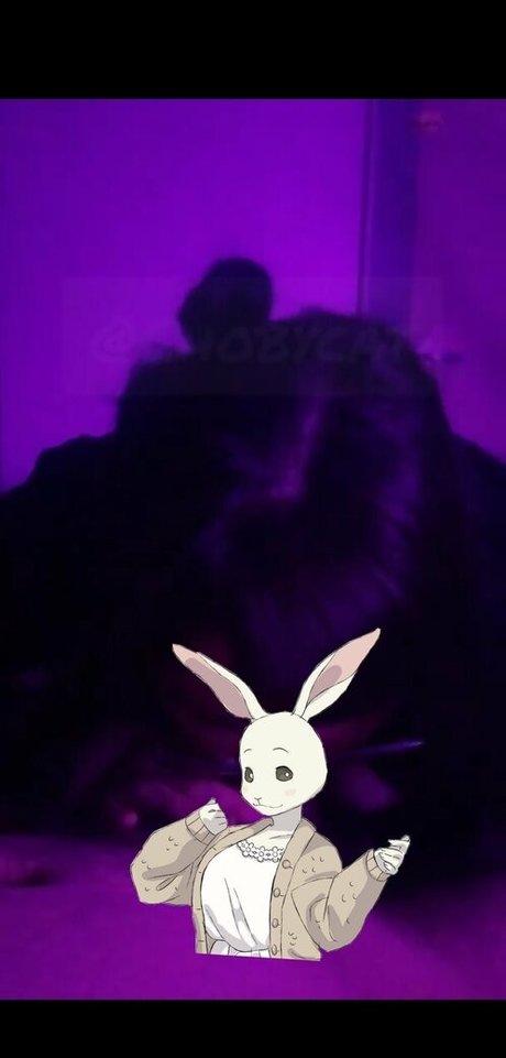 chobycat onlyfans leak ass