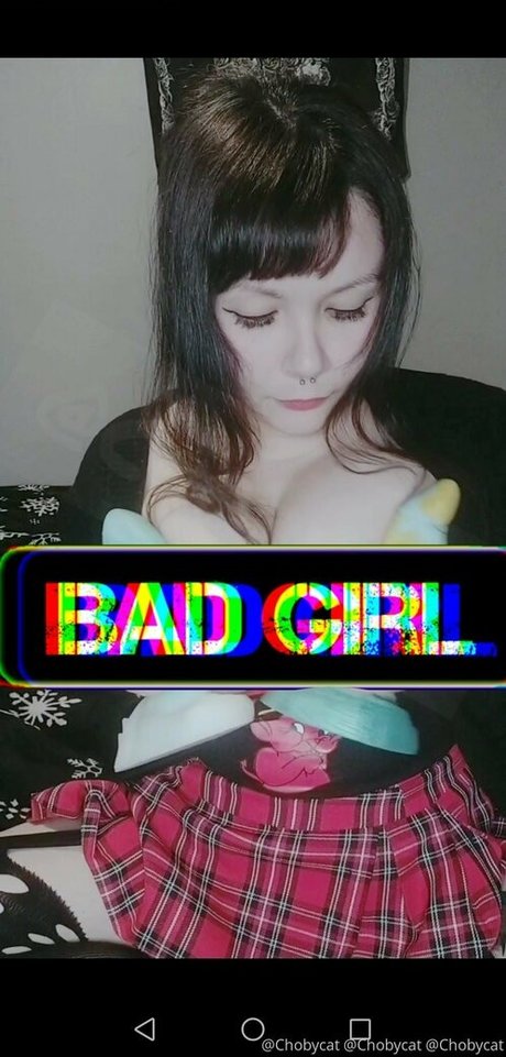 chobycat Profile pic