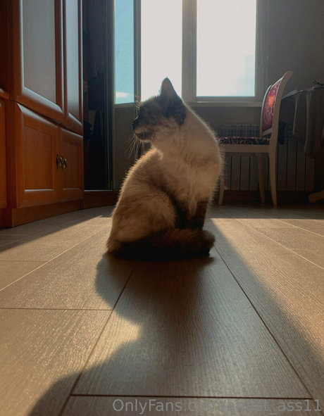 anast ass11 leaked onlyfans