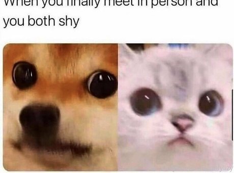 brownielizy onlyfans porn