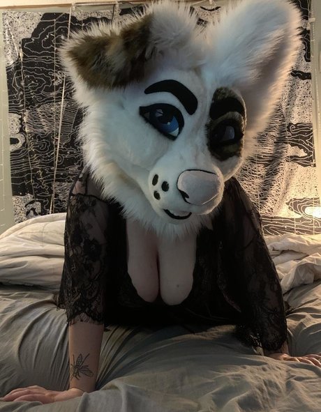 saoirsemutt onlyfans archive