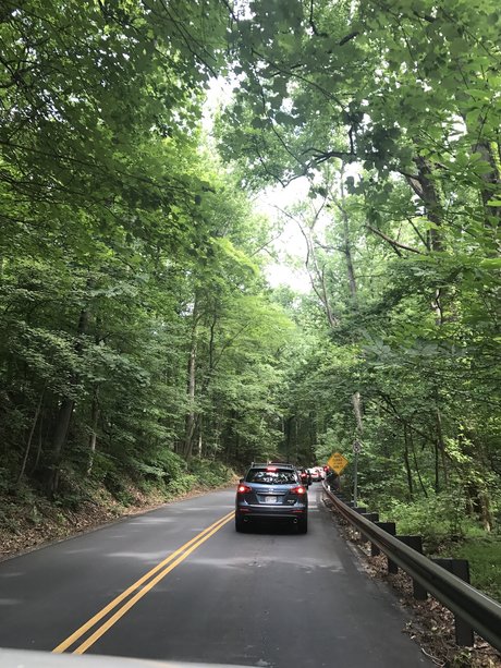 Fun fun onlyfans leak nude