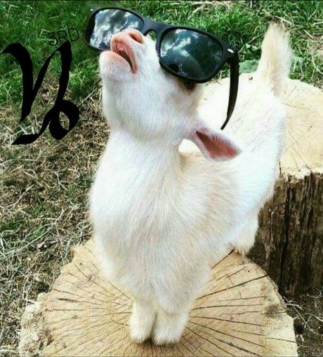 Itwontcookitsself leak onlyfans