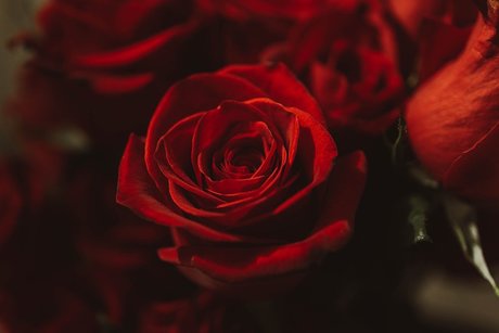 Little Bear FREE onlyfans leaka