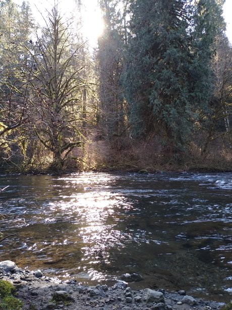 Quincy Quiet onlyfans naked