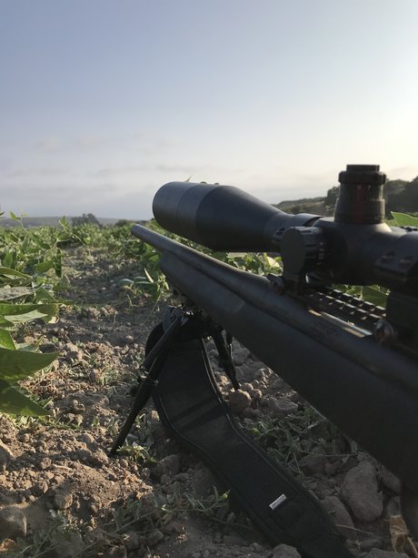 Ton of rough onlyfans nudes porn