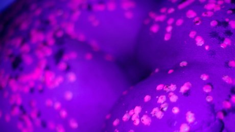 ihavapiness free only fans