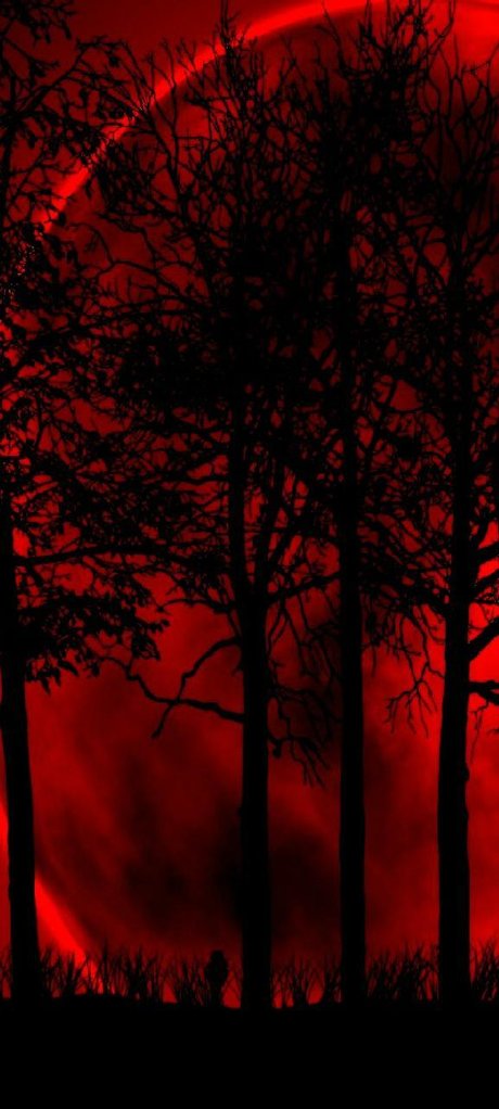 Karli Venom onlyfans leaks