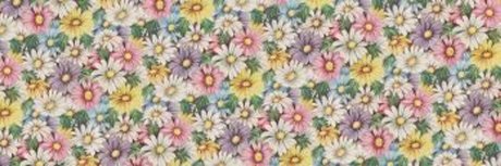 Claire Taylor onlyfans leams