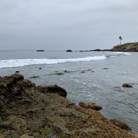 Stella St Clair only fans leaked porn