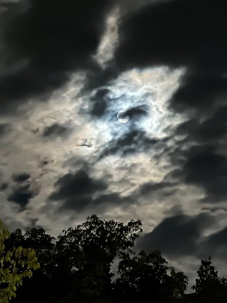 Kristi Katsuragi only fans naked