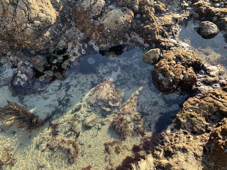 Chad Man onlyfans leaks