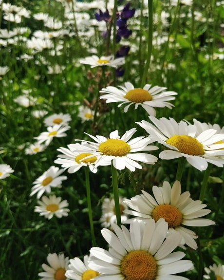 Vipetys Sneak Peek onlyfans desnuda