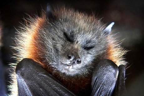 ThiccKit onlyfans archives