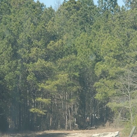 Motown Trucker onlyfans pics