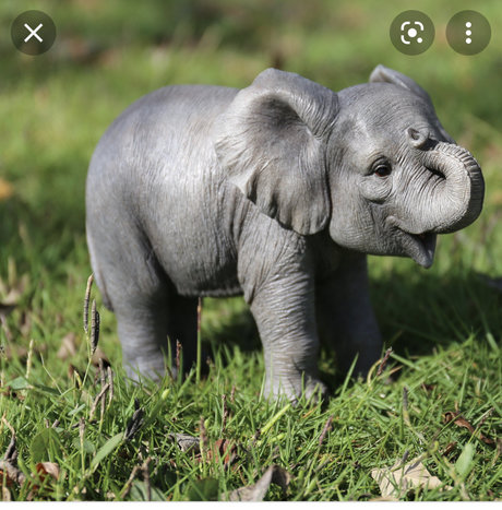 racheal stewart onlyfans leak new