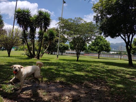 Juesva onlyfans gratis