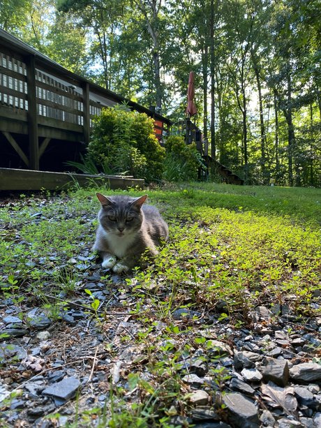 Madonnamashed only fans nude