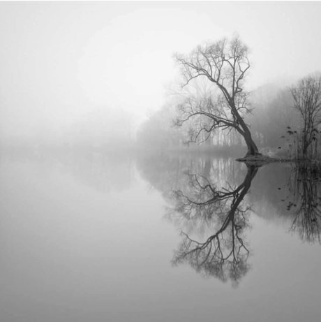 Darlingitsyou_ onlyfans pics