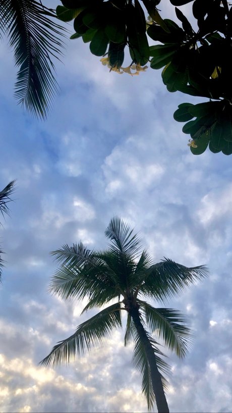 Kendall Kate leaked onlyfans