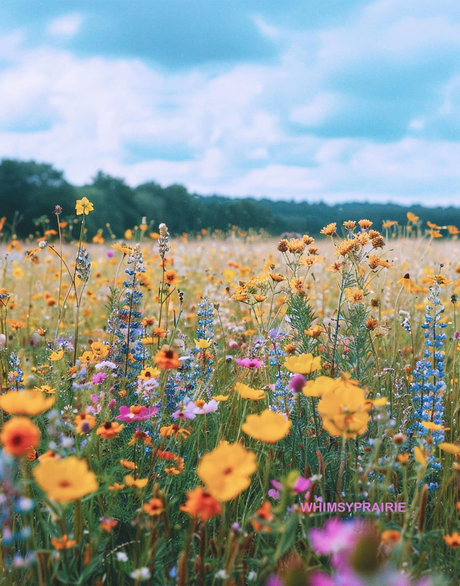 Larissa361Tx onlyfans porn free