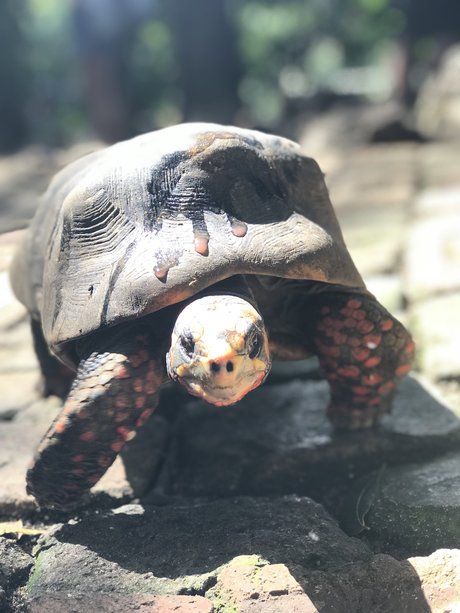 Jon Jinx onlyfans leak fuck