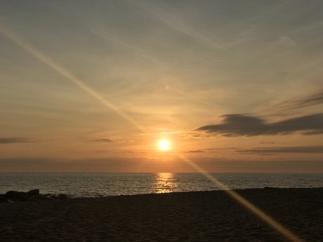 Georgia Love onlyfans free