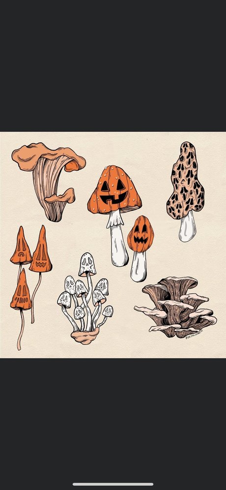 ZanaSossa leaked only fans