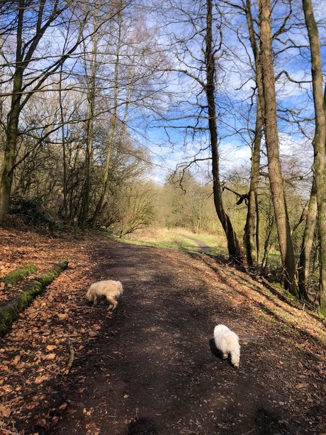 Sweet candy_ onlyfans leak free