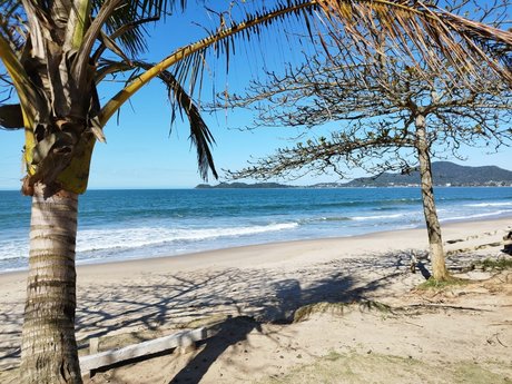 El Ni o onlyfans leaked porn