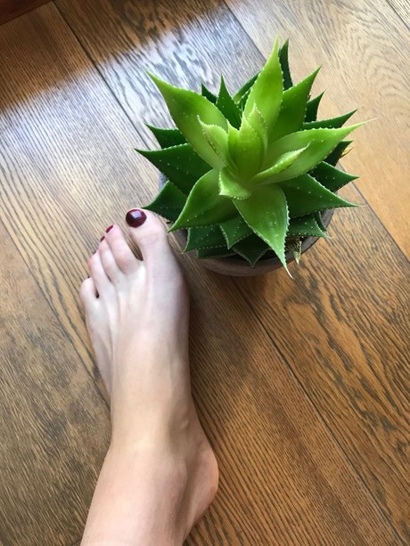 Howtosqu rt onlyfans free