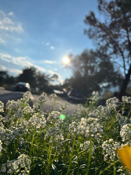 Marie C_ xxx only fans